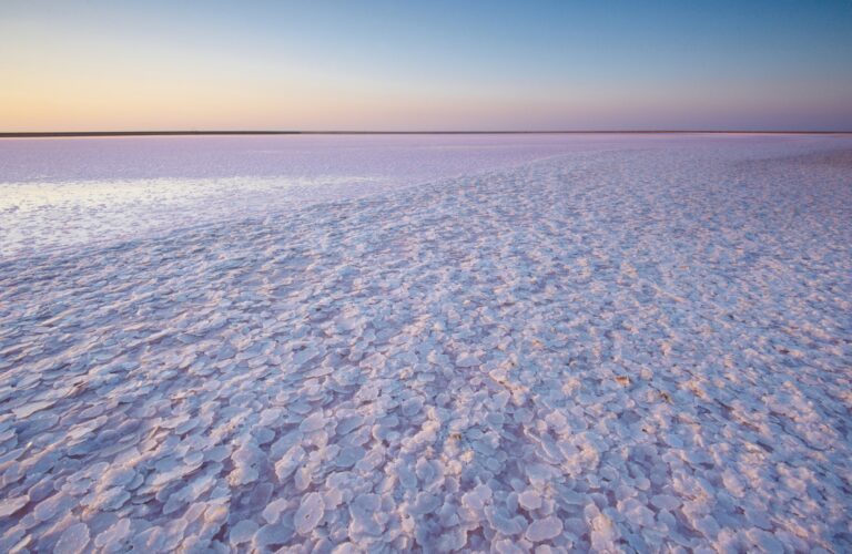 Salt and Brine of a pink lake, colored by microalgae Dunaliella salina at sunset