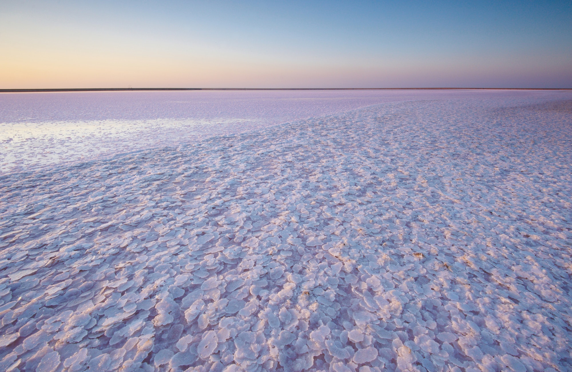 Salt and Brine of a pink lake, colored by microalgae Dunaliella salina at sunset