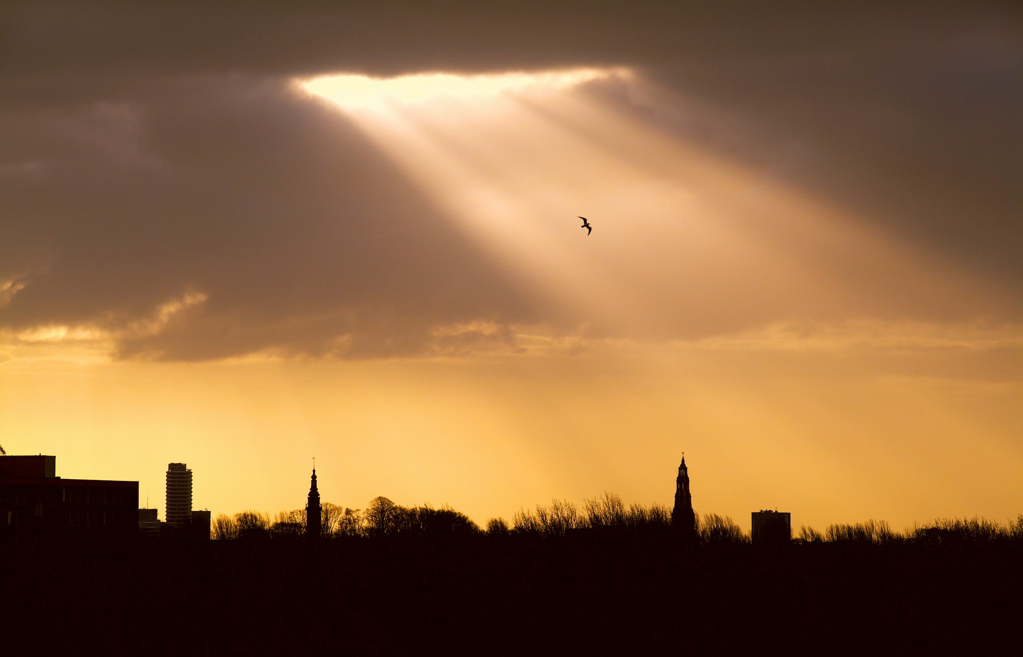 sunlight in the city